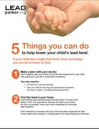 Read On To Learn About 5 Things You Can Do To Protect Your Children From Lead Poisoning Lead Poisoning School Social Work Health Info