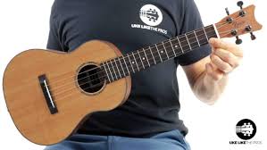 In this article, i will guide you through the different ukuleles sizes, how and why they sound different, and how to choose and ukulele that will work for you. Ukulele Size Guide Soprano Concert Tenor Baritone And Bass Uke Like The Pros Blog