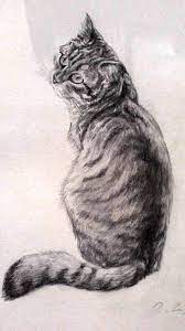 zhivotnye risunok karandashom moi risunki eskizy zhivotnyh risunok karandashom risunki