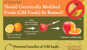 Fears for health and genetically modified doesn't tell you what the modification is, or what the food is. Genetically Engineered Food Pros And Cons List Hrf