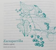 El libro mi jardin aprendiendo a leer. El Libro De Las Plantas Olvidadas Un Gran Descubrimiento Cocina Y Aficiones