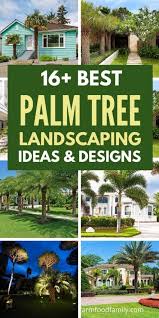 We did not find results for: 16 Best Palm Tree Landscaping Ideas Designs For Your Yard