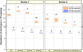 Width x height x length : Toxicity Of Enrofloxacin Copper And Their Interactions On Soil Microbial Populations And Ammonia Oxidizing Archaea And Bacteria Scientific Reports