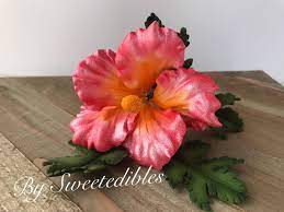 Check spelling or type a new query. Gum Paste Hawaiian Hibiscus Flower Cake Decorations Pink Etsy