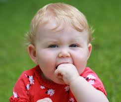 Southern Mamas » Photographers