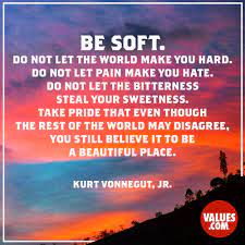Be soft. Do not let the world make you hard. | The Foundation for a Better  Life