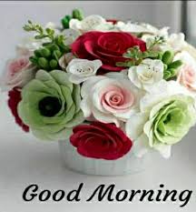 Most beautiful flowers good morning images. Good Morning Flower Pictures 2021 Pour Android Telechargez L Apk