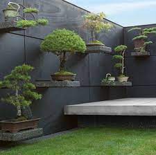 Bonsai Shelves Create Simplicity In Japanese Garden Space Japanese Garden Japanese Garden Design Garden Design