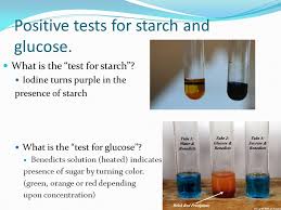 Copy Of Lab Skills Lessons Tes Teach