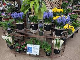 They offer plants ranging from trees and shrubs to tropical houseplants and vegetables. Merrifield Garden Center 12101 Lee Hwy Fairfax Va 22030 Usa