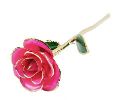 Check spelling or type a new query. 21 Best 24 Carat Gold Dipped Rose Flower Ideas Gold Dipped Rose Rose Flower Gold Dipped
