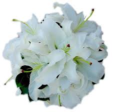 Create an everlasting impression in your garden this summer with this exquisite lily in ivory white brushed with deep pink edges and a light dusting of freckles in the centre. Oriental Lily Flower Bouquet Asiatic Bouquet à¤« à¤² à¤• à¤— à¤²à¤¦à¤¸ à¤¤ à¤« à¤² à¤µà¤° à¤¬ à¤• Vel Flora Chennai Id 11278968373