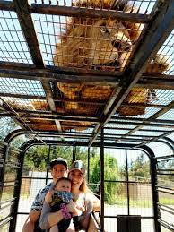Zoológico más grande e importante de chile. Parque Safari Rancagua Vi Region Panoramas Con Ninos