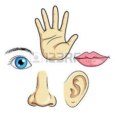 Vocabulaire Garcon De Bande Dessinee Enfant De Visage Parties Illustration Theme Corps Humain Maternelle Parties Corps Maternelle Jeux Educatifs Maternelle