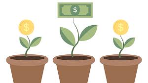 If you need to earn more money on the side, remember to think about all the different ways you can. Ten Nonprofit Funding Models