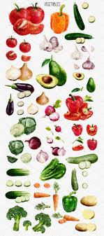 Watercolor Fruits And Vegetables Vegetable Illustration Vegetable Drawing Watercolor Food