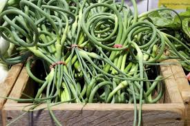 Freeze Garlic Scapes Garlic Scapes Garlic Recipe For Garlic Scapes