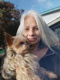 Introducing myself and sharing a photo of a cat