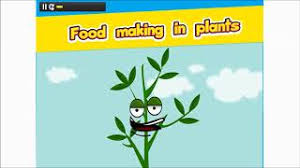 Carbon dioxide molecules and water molecules are used as raw materials to synthesize carbohydrate molecules. How Plants Make Food Photosynthesis Science Steam Learning Youtube