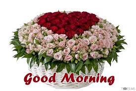 Every flower is a soul blossoming in nature, so spread your divine blossom amongst your beloved sharing this good morning flowers images with quotes saying the beauty of flowers. Good Morning Rose Flower Wish Friends Pics Mojly Images Good Morning Image For Wife With Roses Mojly