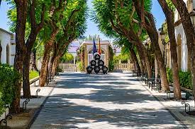 The very sweet) and a good brandy. Super Tour Osborne Bodega De Mora El Puerto De Santa Maria El Puerto De Santa Maria Reisebewertungen Tripadvisor