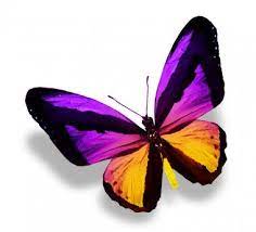 Pin En Mariposa Rosa