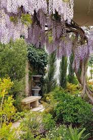 Dream Gardens Tradicni Provensalska Zahrada Wisteria Garden Dream Garden Beautiful Gardens