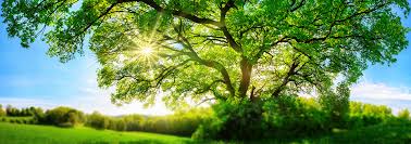 Obituary information for James Edward Henderson