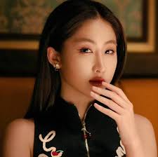 Yoko Nominated for Pop Golden Award 2024