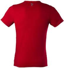 Red Men S Polo Shirt Png Image Men S Polo Shirt Polo Shirt Polo
