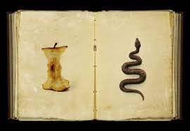 Video shows what lawlessness means. What Is Sin