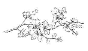 Check spelling or type a new query. 730 982 Blossom Cliparts Stock Vector And Royalty Free Blossom Illustrations