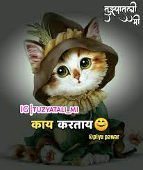 It's the day to wish for your friend's wellbeing and for the friendship to remain strong today and always. Tag à¤•à¤° Post à¤†à¤µà¤¡à¤² à¤¯ à¤¸ Follow à¤•à¤° Tuzyatali Mi Tuzyatali Mi Tuzyatali Mi Tuzyatali Mi Tuzyatal Funny Cat Images Cute Love Quotes Special Quotes