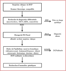 Check spelling or type a new query. Primary Ciliary Dyskinesia In Adults Sciencedirect