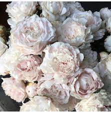 Pin On Wedding Flowers