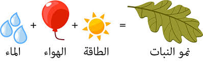 ما هي النباتات المصنوعة من Ask A Biologist