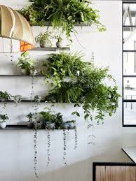 Plant walls are an excellent way to enhance your interior space to improve beauty and health reasons. How To Decorate Your Interior With Green Indoor Plants And Save Money Plant Wall Decor Indoor Plant Wall Plant Shelves