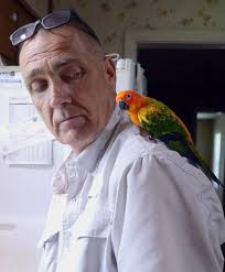 Cuckoo for birds: Lufkin man breeding, selling dozens of parrots