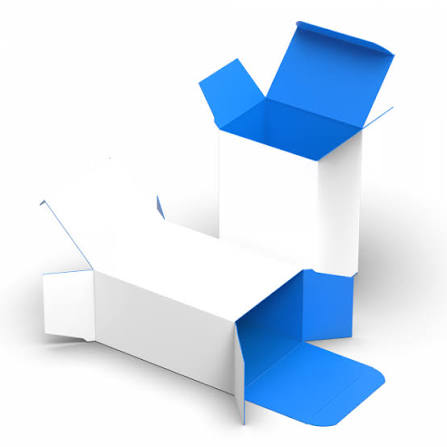 Custom Reverse Tuck End (RTE) Box | NEWPRINT