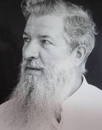 Journal of Caribbean Ornithology, Vol. 33: Lesser Black-backed Gulls (Larus  fuscus) in Saint Vincent and the Grenadines and Gren