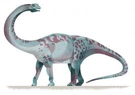 Dinosaur coloring pages » free printable coloring pages / das ausgedruckte dinosaurier bild kannst du anschließend mit deinen lieblingsfarben ausmalen. Dinosaurier Mal Anders Tierwelt