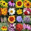 One of the most reliable ways to save money and get more bang for your buck when it comes to wedding flowers is to have your florist only use flowers and greenery that are in season. 1