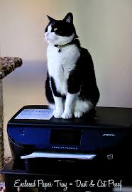 The Hp Envy 5660 All In One Printer Versus Cat Hpsmartmoms Cats Art Template Printer