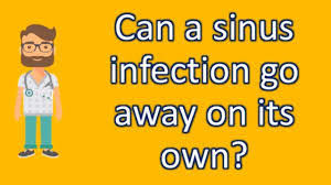 The sinuses are cavities that make many sinus infections will go away on their own without treatment. Can A Sinus Infection Go Away On Its Own Most Asked Questions On Health Youtube