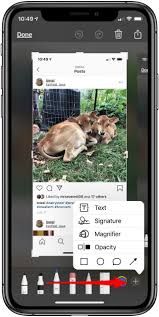 Add text on photos provide users with more than 200 fonts, you spoiled immersed in the world of letters and very creative as you. How To Markup Draw Write On Screenshots On Your Iphone