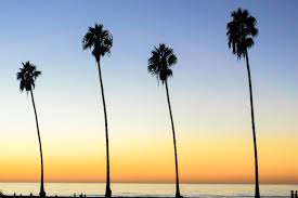Explore the historic gaslamp quarter, wave at pandas, or spend the entire trip lazing at the beach (no judgment here). San Diego Ca Room Escape Recommendations Room Escape Artist