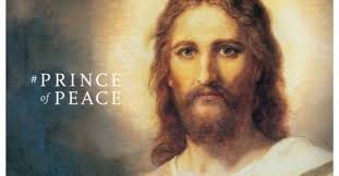 Cathy Yoder, Author at Fabulessly Frugal