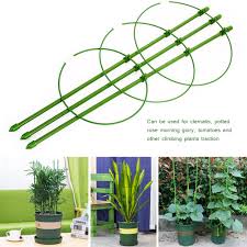 There are some types of clematis that have a bushy growth habit, but most are born to climb. Climbing Plants Support Plants Climbing Trellis Morning Glory Pp Plant Stem Support 2pcs Plant Growing Support