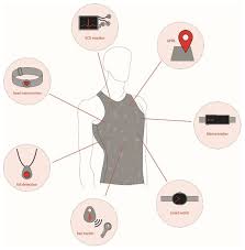 Pulmonary circuit and systemic circuit. Sensors Free Full Text Review On Smart Electro Clothing Systems Secss Html