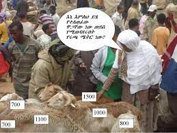 Photoshop is a fantastic tool for airbrushing away flaws and mistakes, creating a stunning picture. Ethiopian Funny Jokes